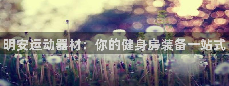 海南意昂体育3发展怎么样：明安运动器材：你的健身房装