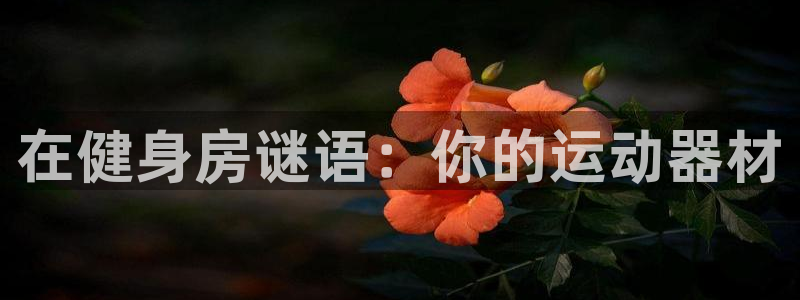 意昂3官方：在健身房谜语：你的运动器材