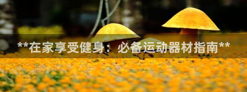意昂体育3招商电话是多少啊：**在家享受健身：必备运