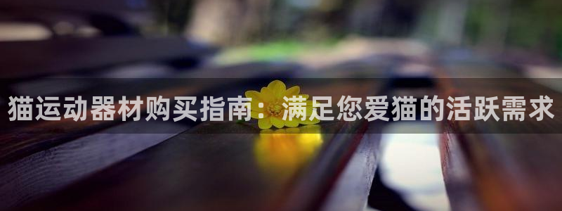 意昂3集团官网首页网址：猫运动器材购买指南：满足您爱