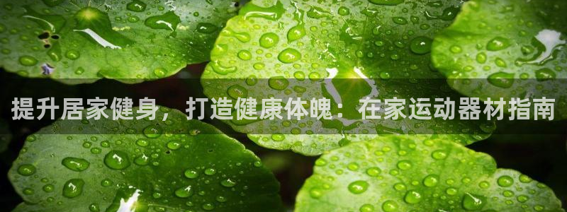 意昂体育3平台假的吗是真的吗：提升居家健身，打造健康