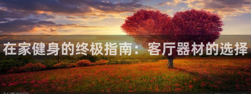 意昂3娱乐40996：在家健身的终极指南：客厅器材的