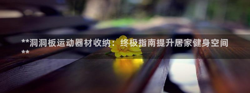 意昂体育3平台：**洞洞板运动器材收纳：终极指南提升