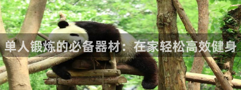 意昂体育3招商电话号码是多少号：单人锻炼的必备器材：