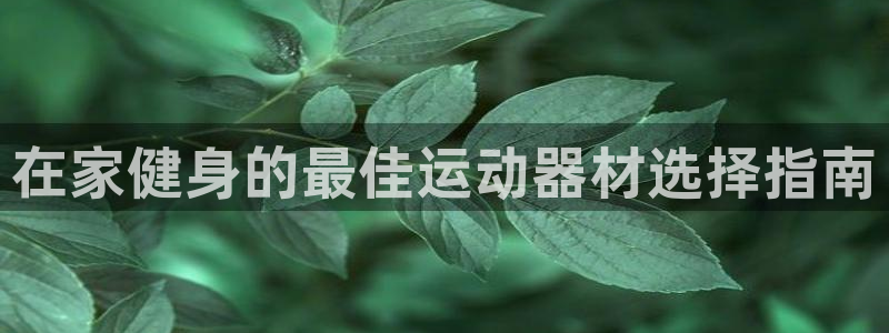 意昂体育3招商电话地址查询：在家健身的最佳运动器材选
