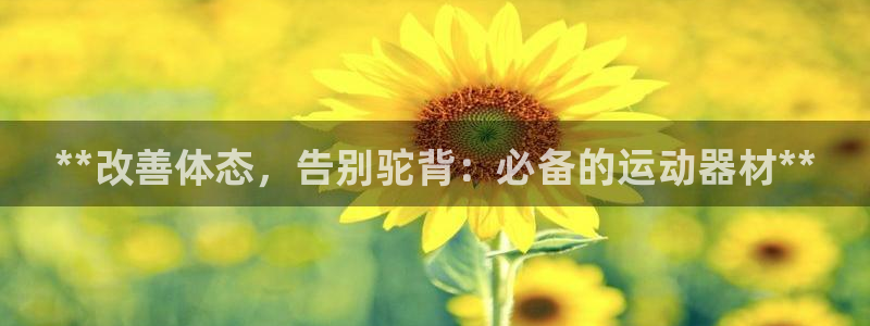 注册意昂3：**改善体态，告别驼背：必备的运动器材*