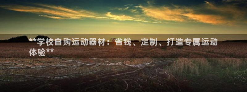 意昂3集团logo：**学校自购运动器材：省钱、定制