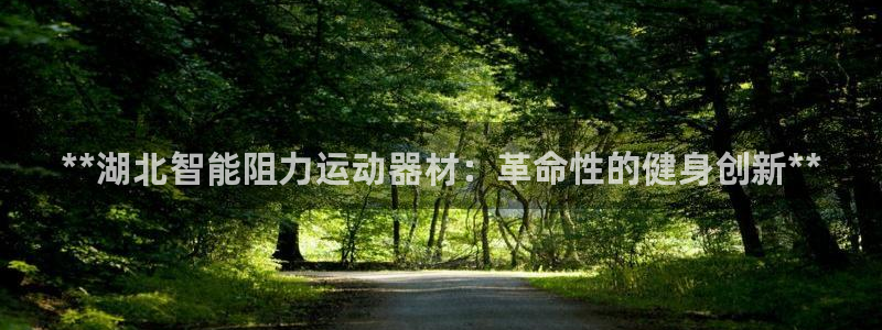 意昂体育3娱乐：**湖北智能阻力运动器材：革命性的健