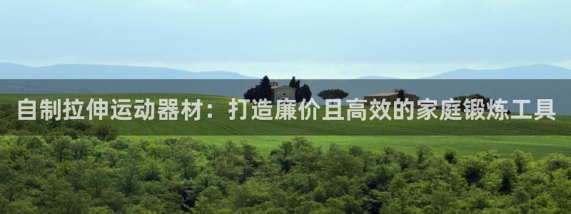 意昂3科技：自制拉伸运动器材：打造廉价且高效的家庭锻