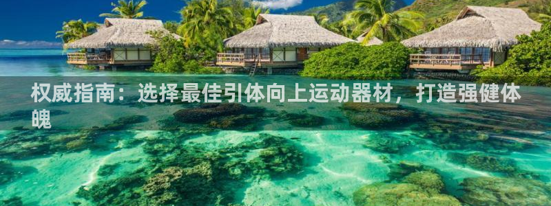 意昂3娱乐网站：权威指南：选择最佳引体向上运动器材，