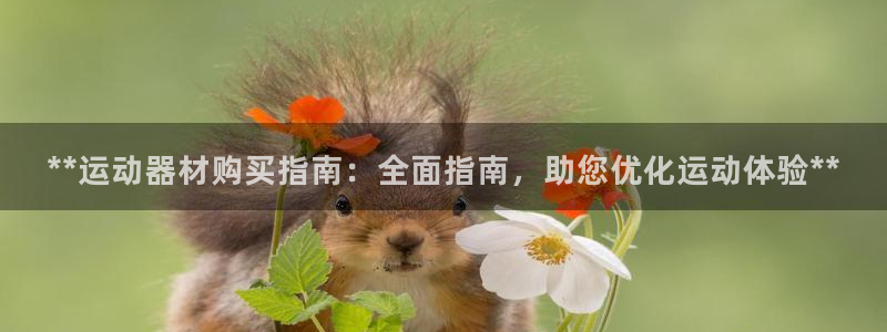 意昂体育3娱乐：**运动器材购买指南：全面指南，助您