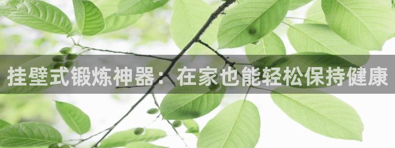 意昂体育3平台注册要钱吗是真的吗：挂壁式锻炼神器：在