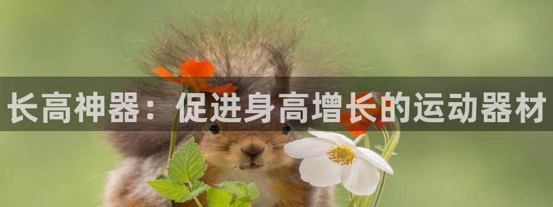 意昂3官方：长高神器：促进身高增长的运动器材