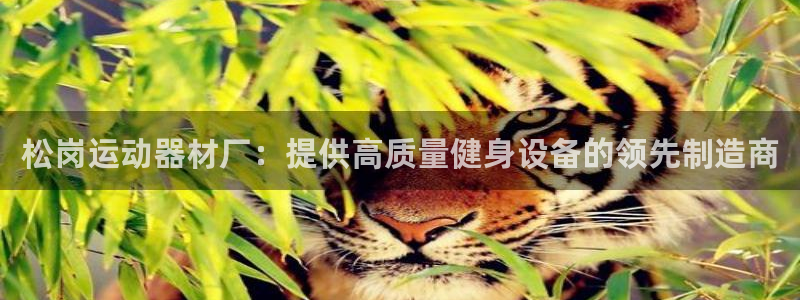 意昂体育3平台注册要钱吗：松岗运动器材厂：提供高质量