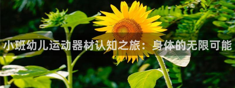意昂体育3平台注册流程视频：小班幼儿运动器材认知之旅
