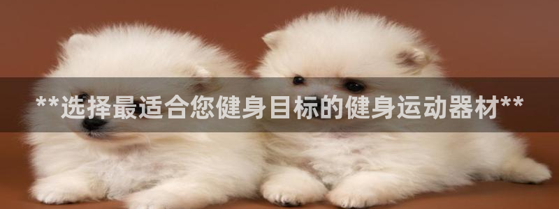 意昂3官方：**选择最适合您健身目标的健身运动器材*