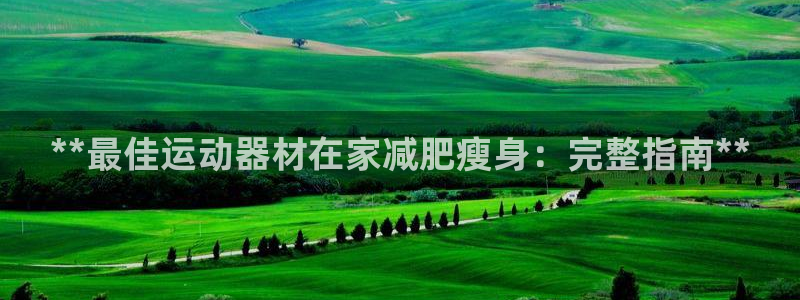 意昂3五金厂：**最佳运动器材在家减肥瘦身：完整指南