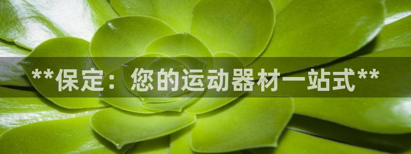意昂3集团简介：**保定：您的运动器材一站式**