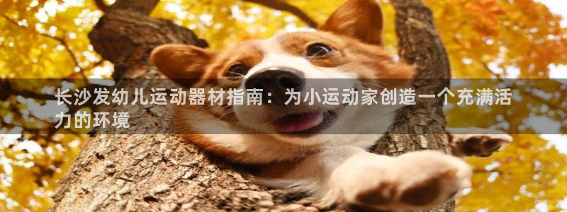 意昂3娱乐下载：长沙发幼儿运动器材指南：为小运动家创