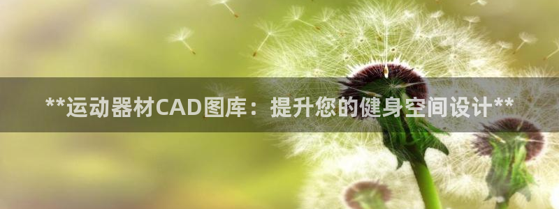 意昂3集团：**运动器材CAD图库：提升您的健身空间