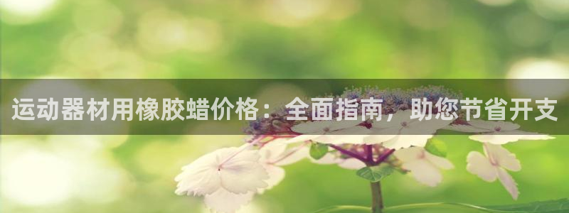 意昂体育3平台APP：运动器材用橡胶蜡价格：全面指南