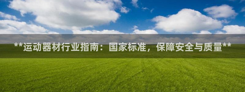 意昂3官方：**运动器材行业指南：国家标准，保障安全