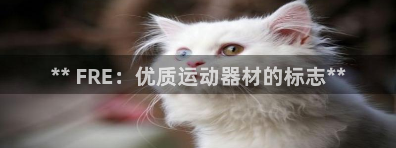 德国意昂3集团：** FRE：优质运动器材的标志**