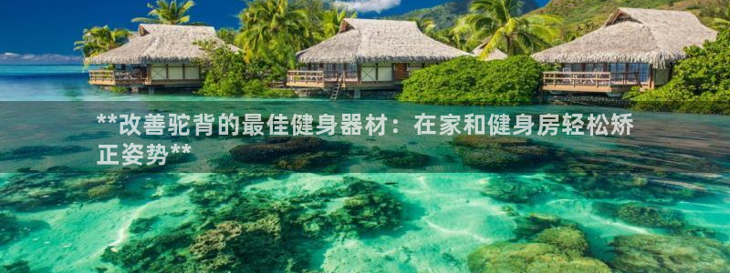 意昂3集团logo：**改善驼背的最佳健身器材：在家
