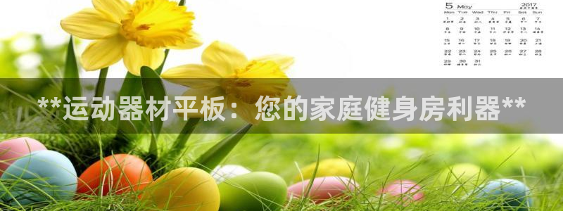 海南意昂体育3：**运动器材平板：您的家庭健身房利器