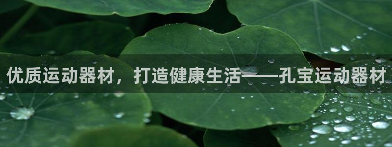 意昂体育3平台注册流程图：优质运动器材，打造健康生活