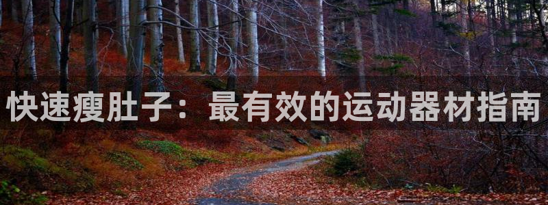 海南意昂体育3：快速瘦肚子：最有效的运动器材指南