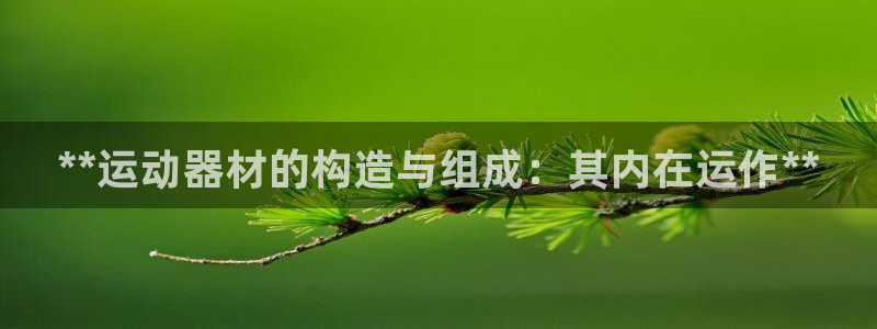 意昂3娱乐是那个系列的台子：**运动器材的构造与组成