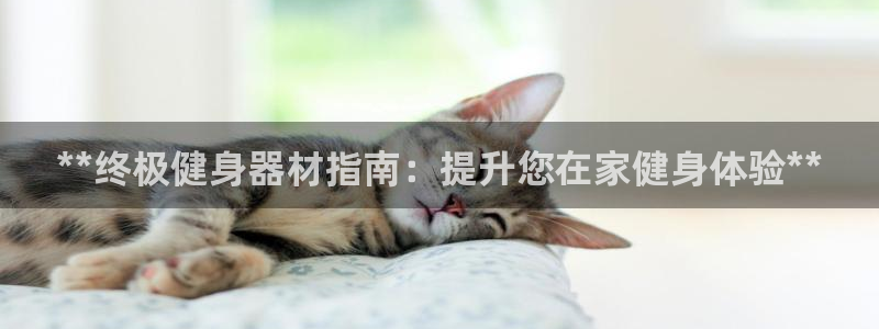 意昂体育3：**终极健身器材指南：提升您在家健身体验