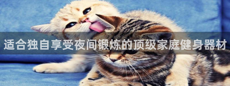 意昂体育3娱乐：适合独自享受夜间锻炼的顶级家庭健身器