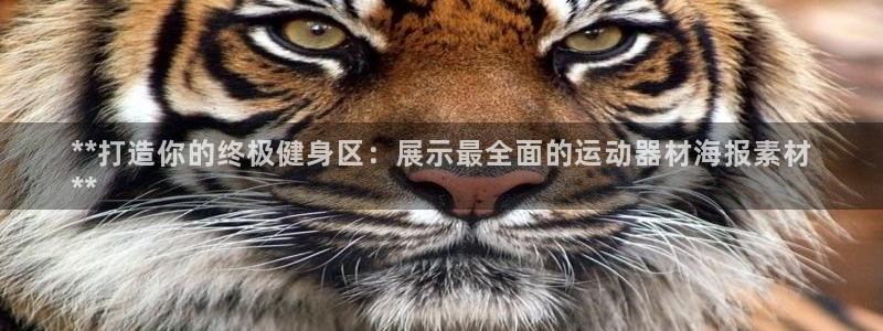 意昂体育3招商电话号码：**打造你的终极健身区：展示