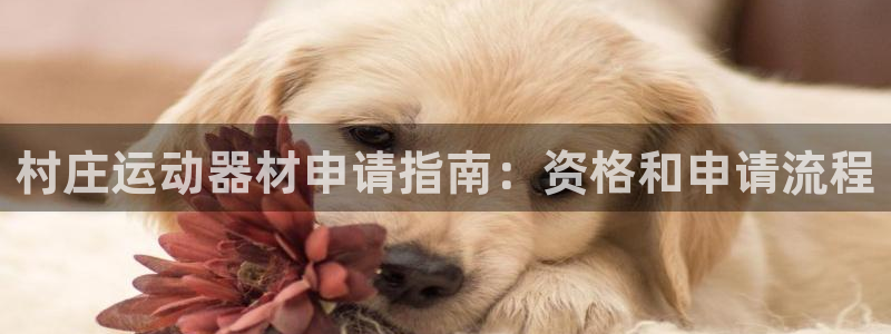 意昂体育3平台是正规平台吗：村庄运动器材申请指南：资