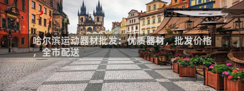 海南意昂体育3发展怎么样：哈尔滨运动器材批发：优质器