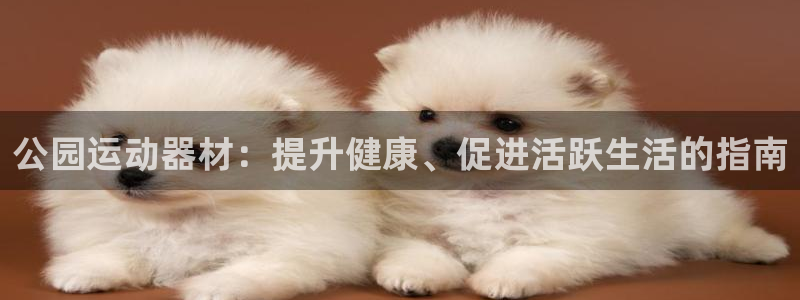 意昂体育3平台：公园运动器材：提升健康、促进活跃生活