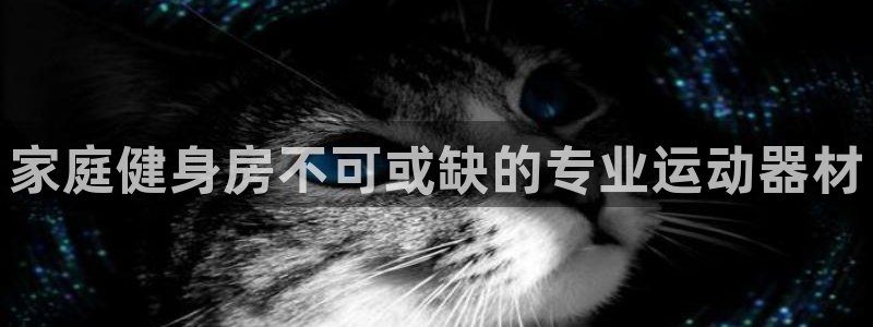 意昂3五金厂：家庭健身房不可或缺的专业运动器材