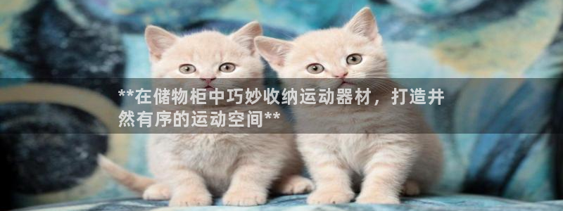 意昂体育3平台APP：**在储物柜中巧妙收纳运动器材
