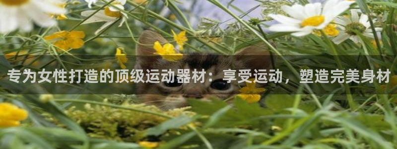 意昂体育3招商电话是多少：专为女性打造的顶级运动器材