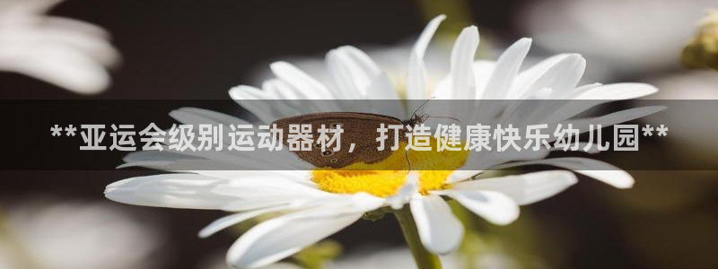 意昂3官方：**亚运会级别运动器材，打造健康快乐幼儿