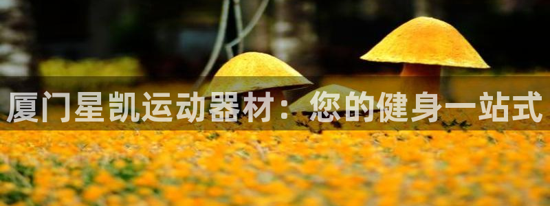 意昂体育3招商电话：厦门星凯运动器材：您的健身一站式