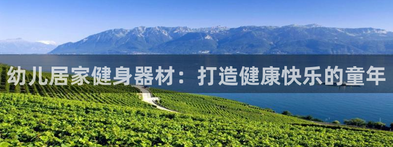 意昂3科技：幼儿居家健身器材：打造健康快乐的童年