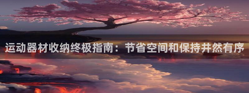 意昂体育3注册：运动器材收纳终极指南：节省空间和保持