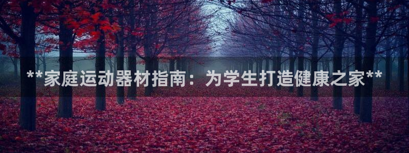 意昂体育3注册：**家庭运动器材指南：为学生打造健康