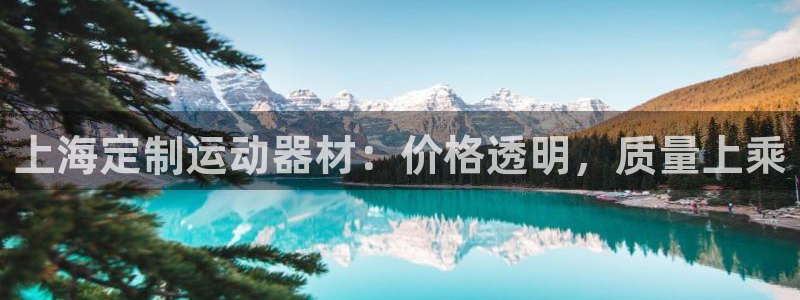 意昂体育3招商电话号码是多少：上海定制运动器材：价格