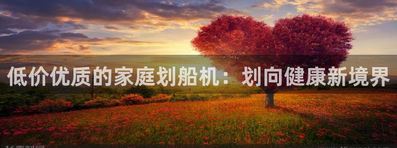 意昂3娱乐下载：低价优质的家庭划船机：划向健康新境界