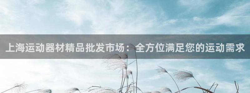 意昂体育3招商电话地址查询：上海运动器材精品批发市场