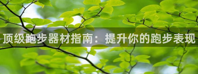 意昂3集团：顶级跑步器材指南：提升你的跑步表现